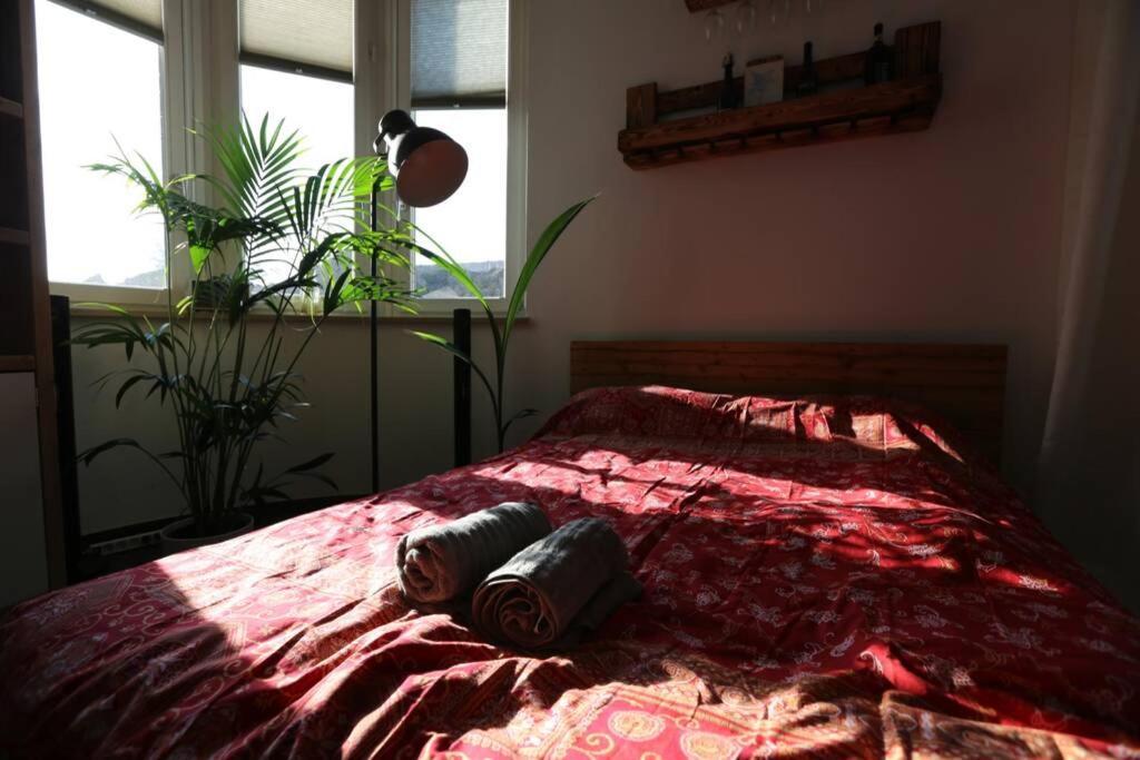 Lejlighed Luftiges Upcycling Im Eg - Zentral